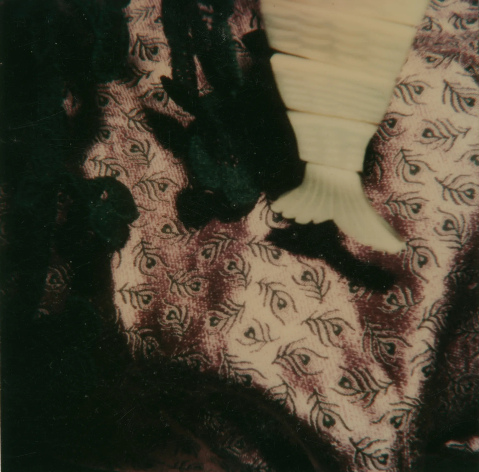Polaroid, 1981 © Wong Wo Bik