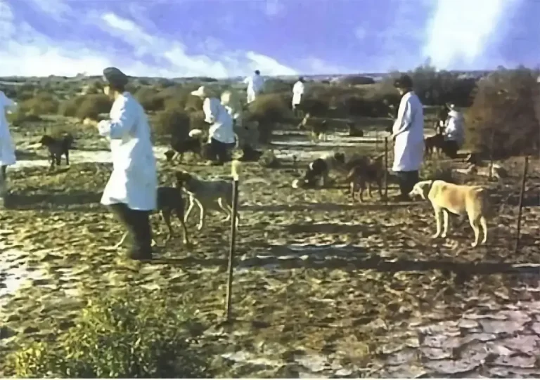 20 rare images of Chinese nuclear tests during the Sixties