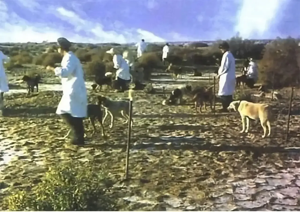 20 rare images of Chinese nuclear tests during the Sixties