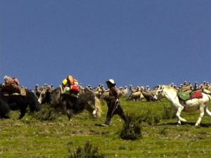 Sky Burial: the Tibetan ritual dissection