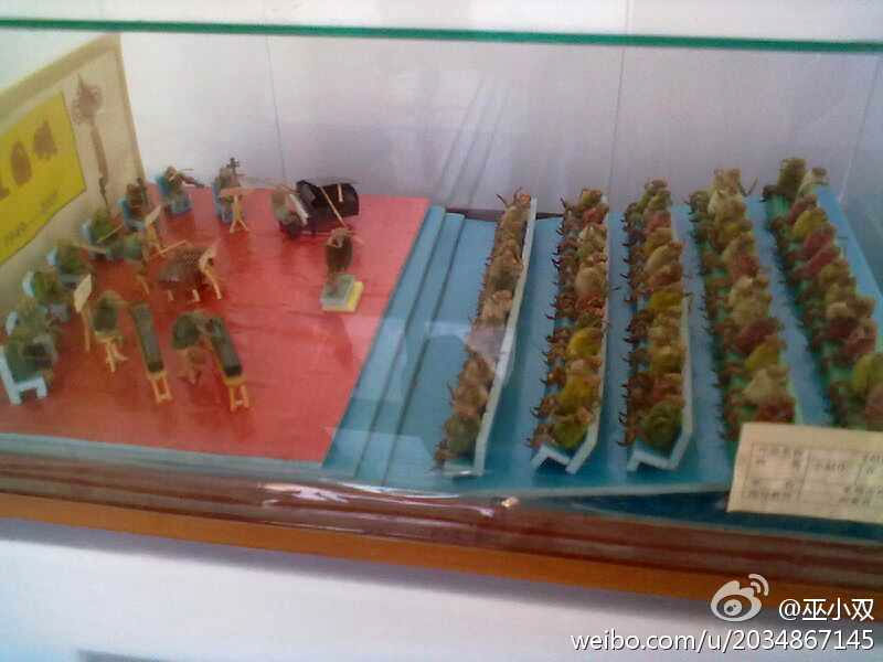 Beijing hairy monkeys made with cicada shell and magnolia bud