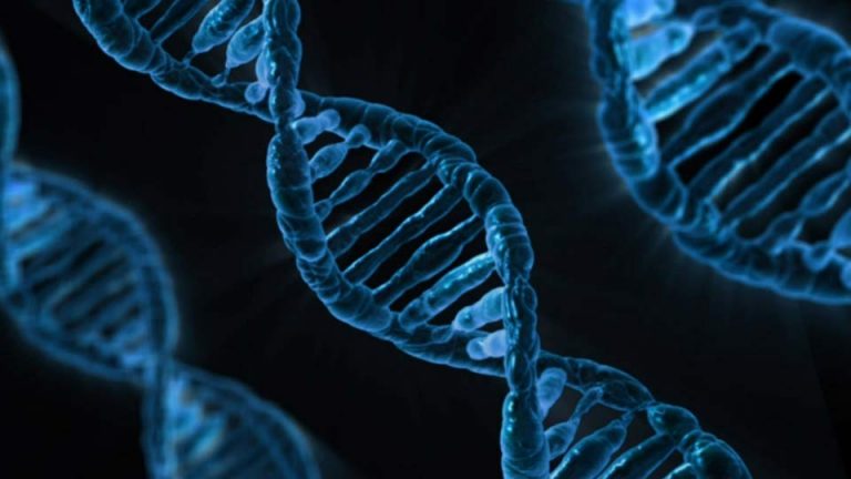 dna-testing-chinese