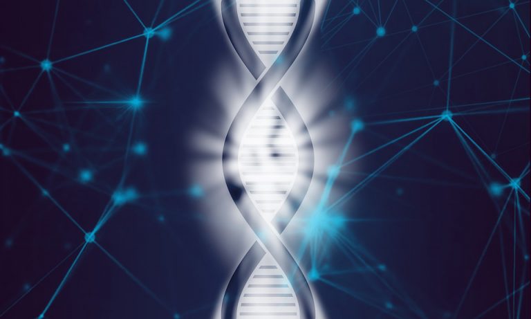 Why are Native American and Asian Genetics So Closely Related