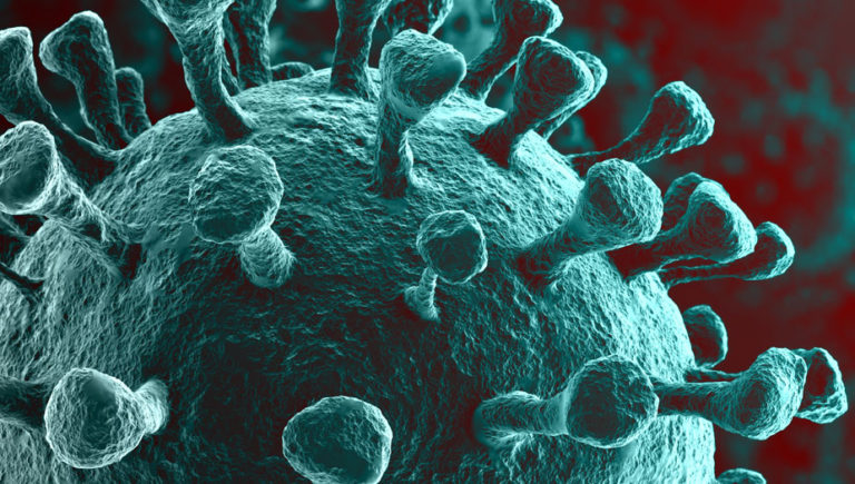 COVID-19 Pandemic Impact
