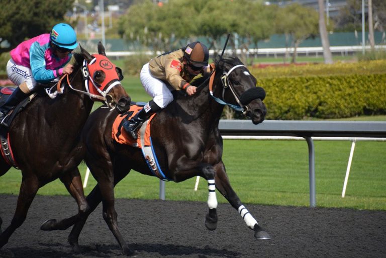 betting mistakes