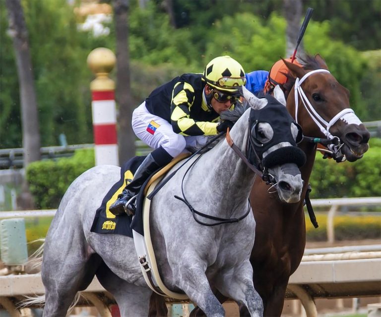 online sports betting odds