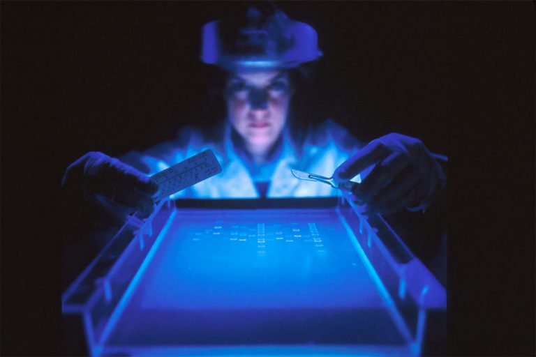 compare DNA kits