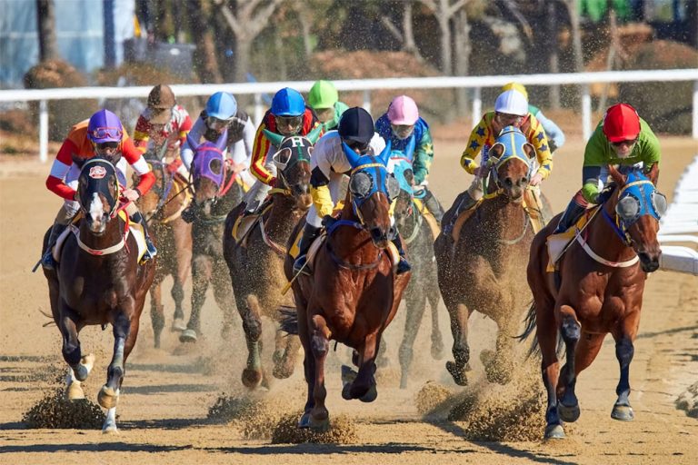 Horse Racing in Hong Kong