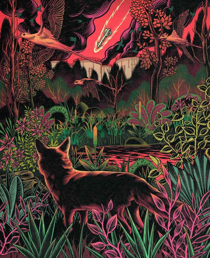 Yiran Jia illustrations, wolf