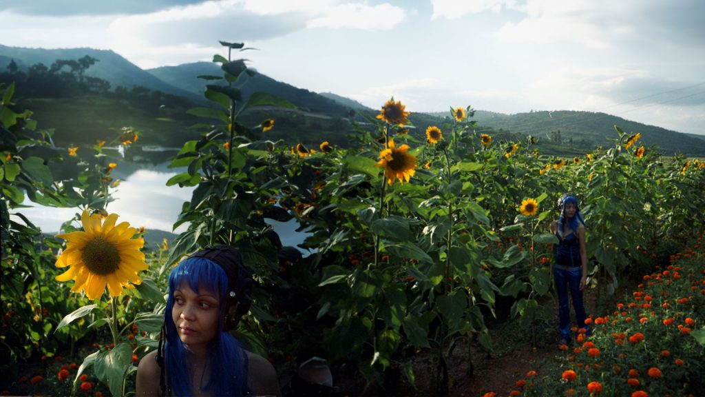 ai generative fill analog pictures sunflowers