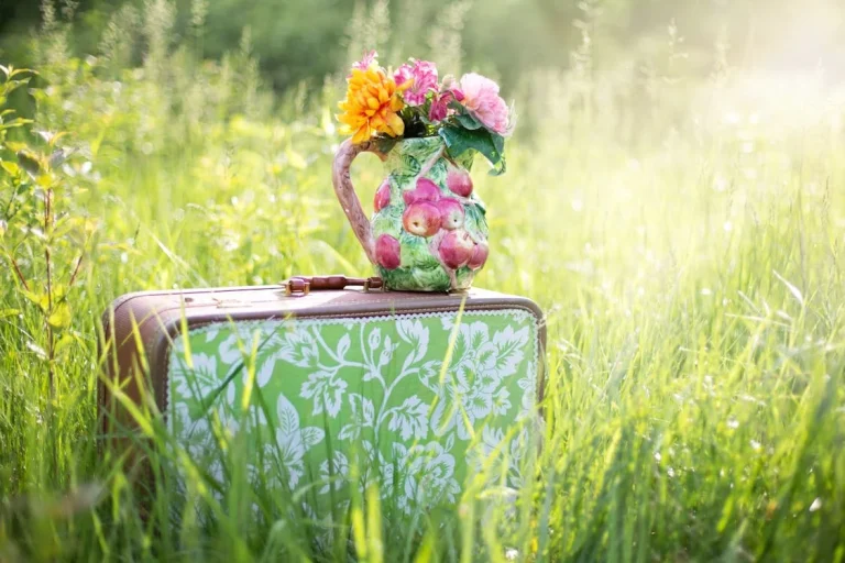 How To Travel China With an Eco-Friendly Outlook, Via Careful Luggage Management