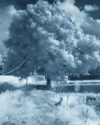 Buddhist Thresholds and Photographic Process: A Group Exhibition in Kyoto