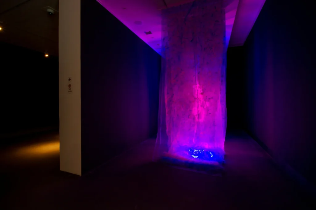 Exhibition view of Canal Cheong Jagerroos solo installation art project, Floating Island – Beyond Arctic, at Rovaniemi Art Museum