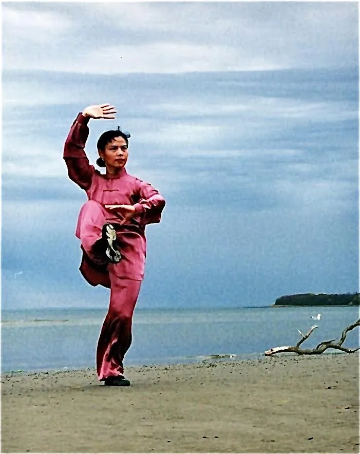 Wu Style Tai Chi