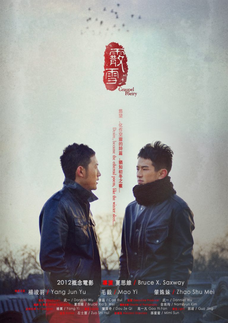 Poster for the movie "Graupel Poetry"