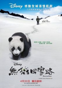 Poster for the movie "Trail of the Panda"