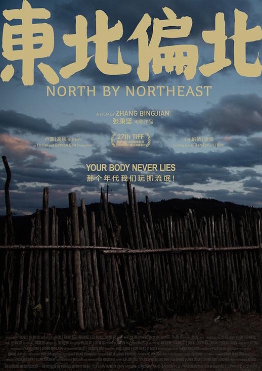 Poster for the movie "North by Northeast"