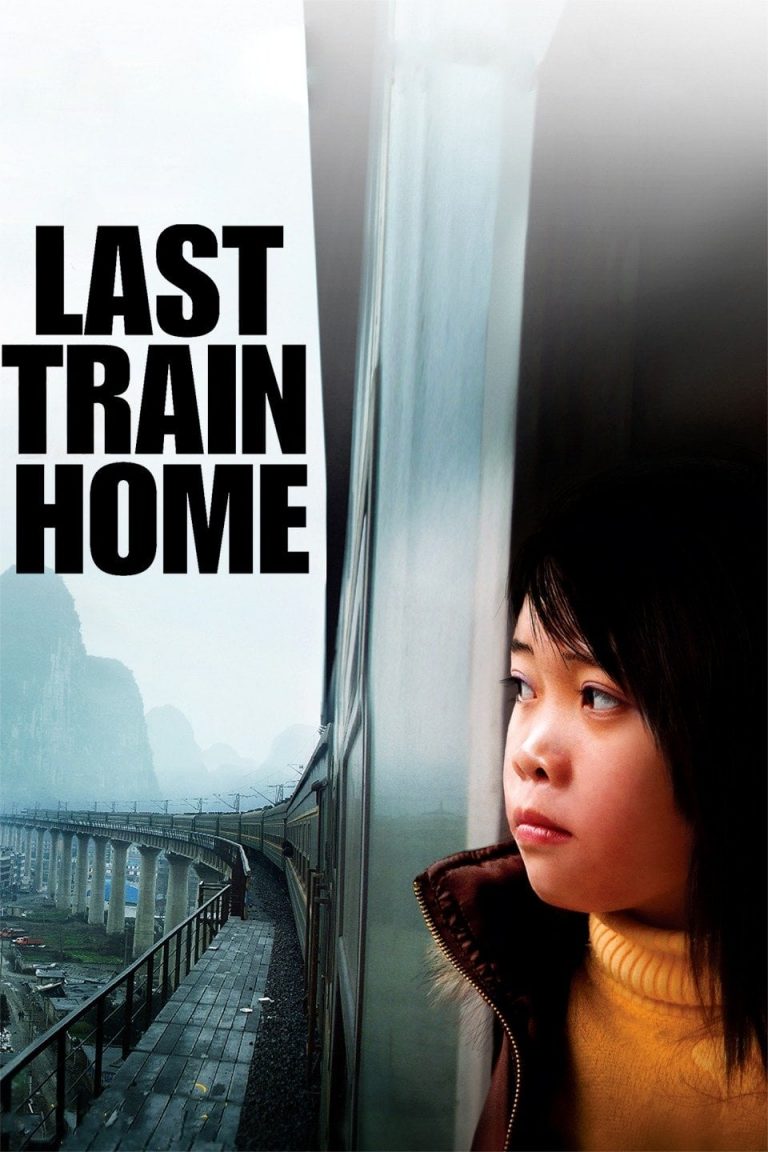 Poster for the movie "Last Train Home"