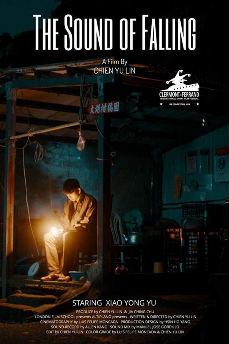 Poster for the movie "The Sound of Falling"