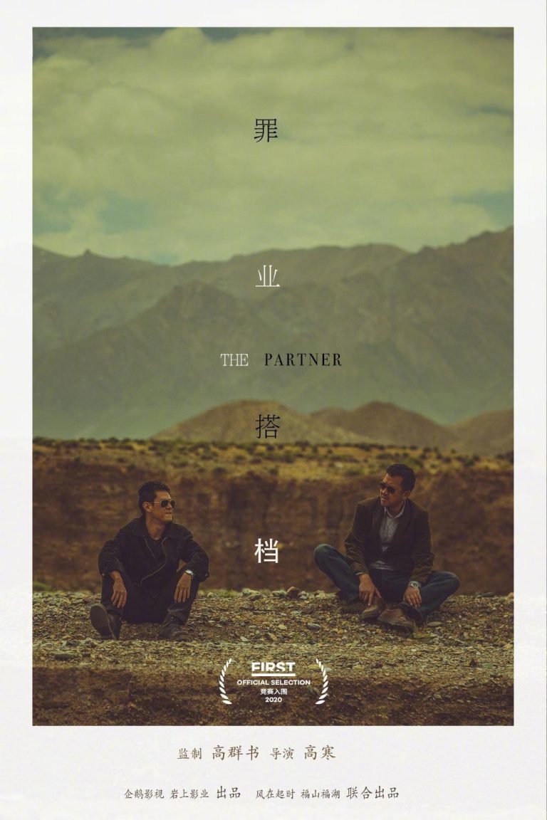 Poster for the movie "The Partner"