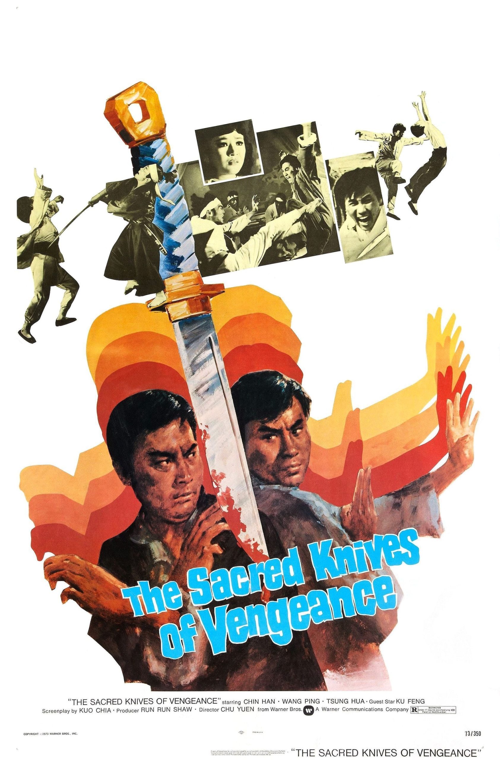 Poster for the movie "The Killer"