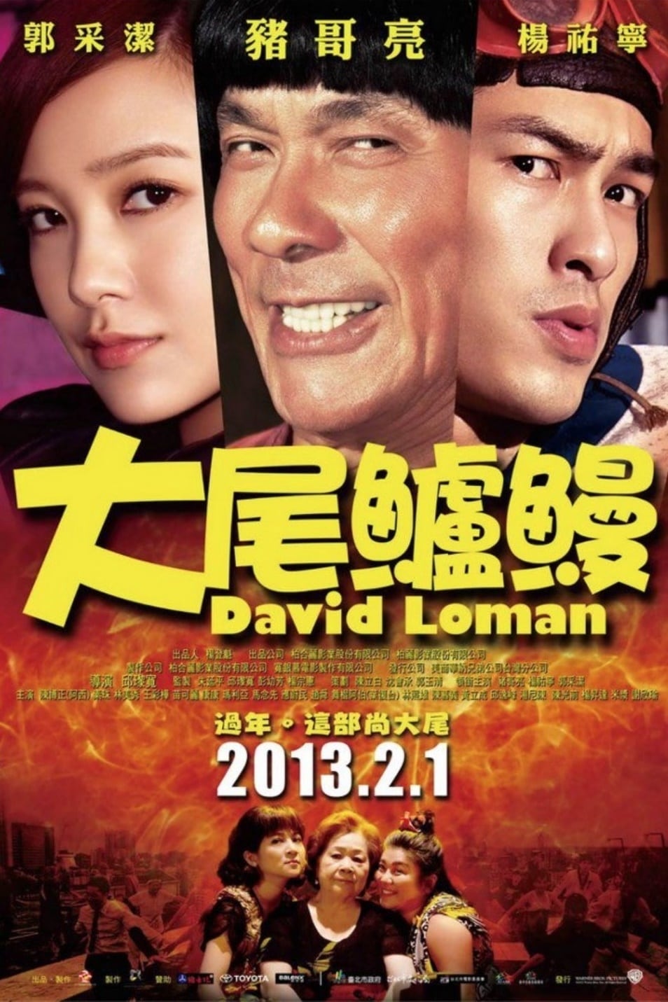 Poster for the movie "David Loman"