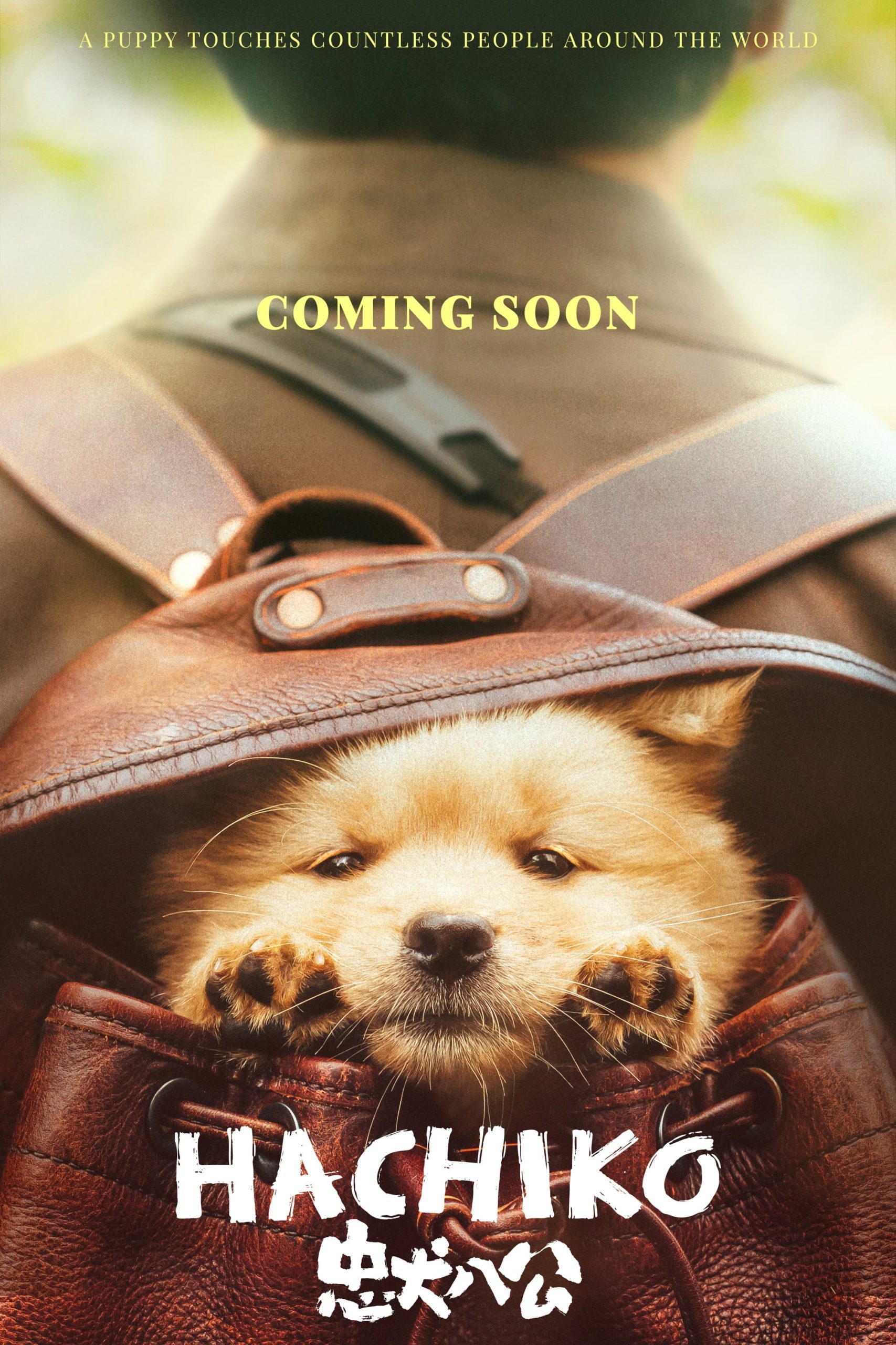 Poster for the movie "Hachiko"